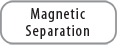 Process Magnetic