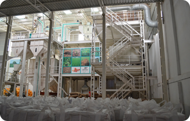 Peanut Processing unit for coated peanuts